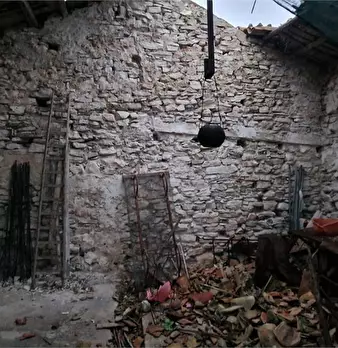 Foto annuncio 8