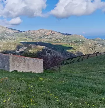 Foto annuncio 4