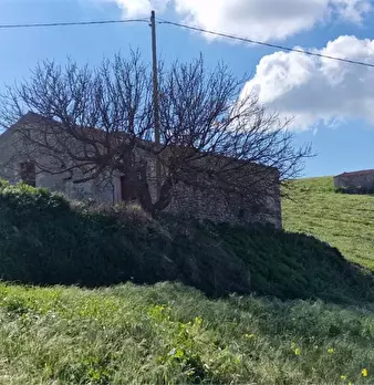 Foto annuncio 5