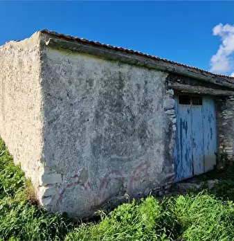 Foto annuncio 6
