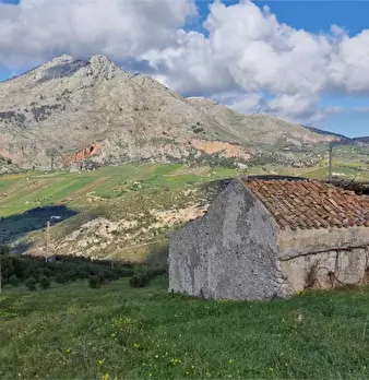Foto annuncio 1