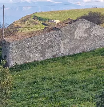 Foto annuncio 3