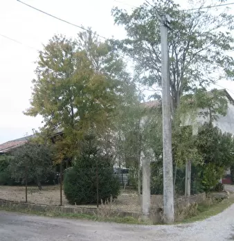Foto annuncio 1