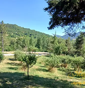 Foto annuncio 2