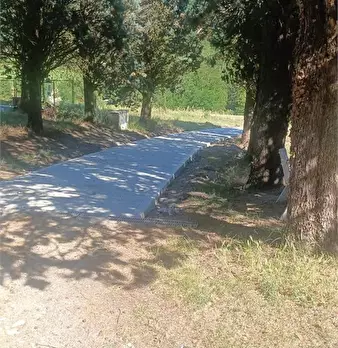 Foto annuncio 3