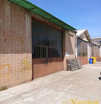 Foto annuncio 6