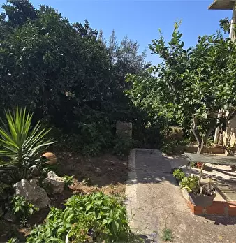 Foto annuncio 4
