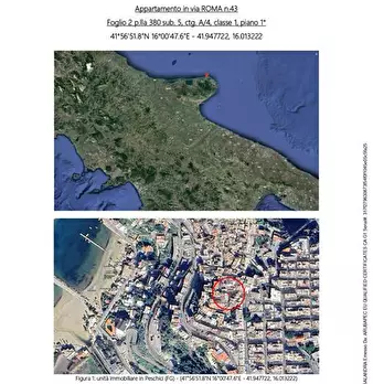 Foto annuncio 9
