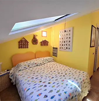 Foto annuncio 8