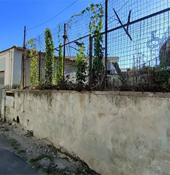 Foto annuncio 10