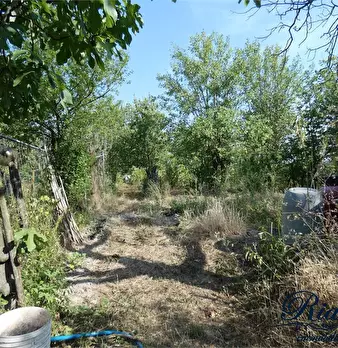 Foto annuncio 3