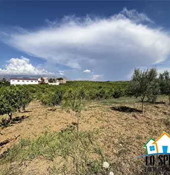 Foto annuncio 8