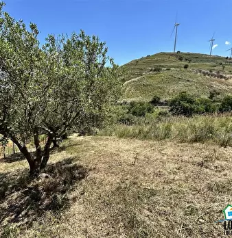 Foto annuncio 8
