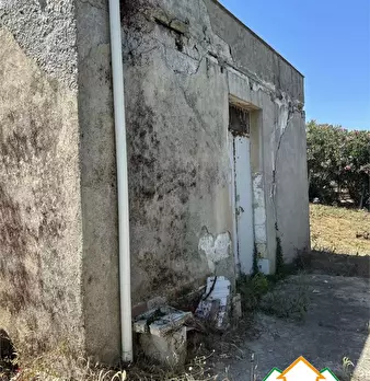 Foto annuncio 4