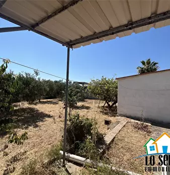 Foto annuncio 8