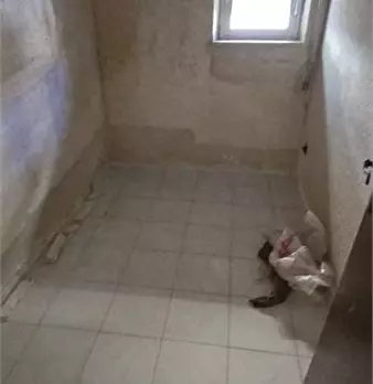 Foto annuncio 8