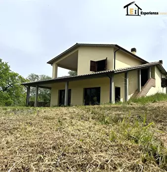 Foto annuncio 2