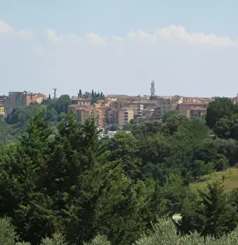 Foto annuncio 7