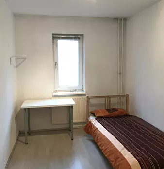 Foto annuncio 1