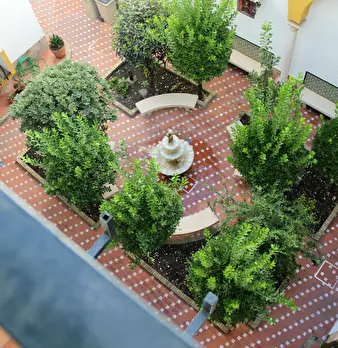 Foto annuncio 9