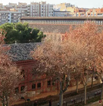 Foto annuncio 10
