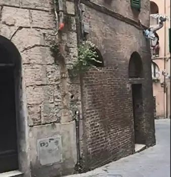 Foto annuncio 9