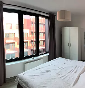 Foto annuncio 6