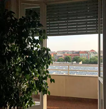 Foto annuncio 10
