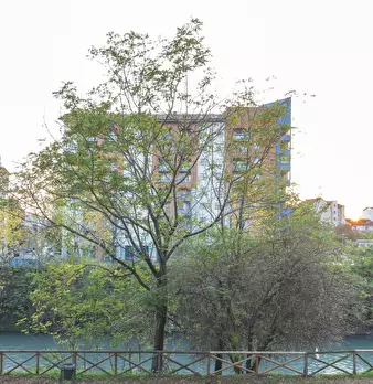 Foto annuncio 9