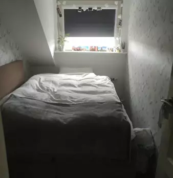 Foto annuncio 10