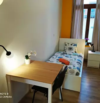 Foto annuncio 1