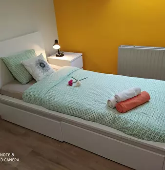 Foto annuncio 9