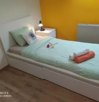 Foto annuncio 10