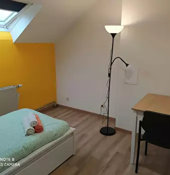 Foto annuncio 7