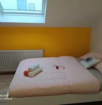Foto annuncio 8