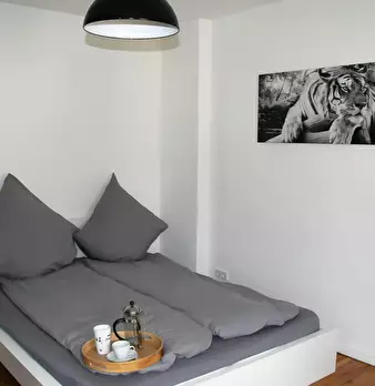 Foto annuncio 8