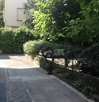 Foto annuncio 10