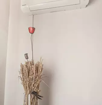 Foto annuncio 9