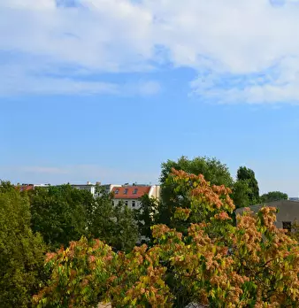 Foto annuncio 6