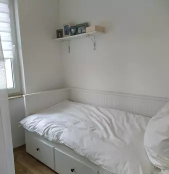 Foto annuncio 10