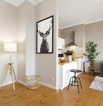 Foto annuncio 5