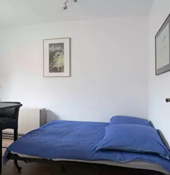 Foto annuncio 8