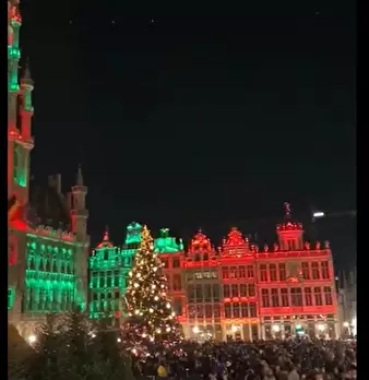 Foto annuncio 8