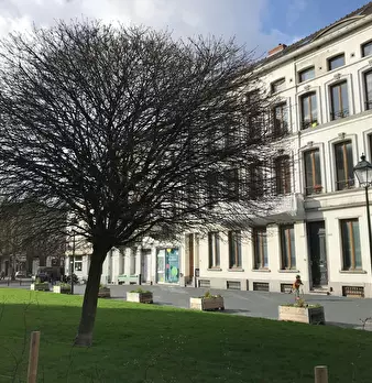 Foto annuncio 9