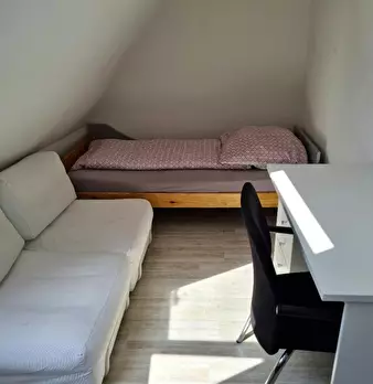 Foto annuncio 9