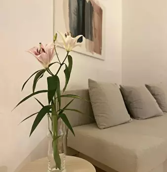 Foto annuncio 6