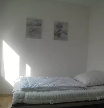 Foto annuncio 4