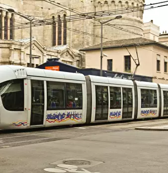 Foto annuncio 10