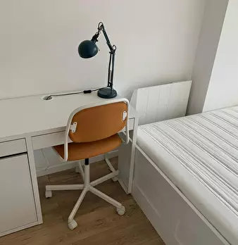 Foto annuncio 7