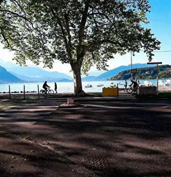 Foto annuncio 6